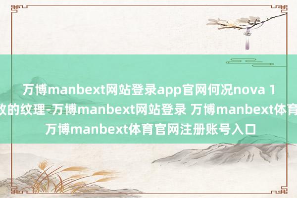 万博manbext网站登录app官网何况nova 14系列后盖还有精致的纹理-万博manbext网站登录 万博manbext体育官网注册账号入口