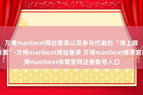 万博manbext网站登录以及参与代谢的 “肾上腺素、去甲肾上腺素”-万博manbext网站登录 万博manbext体育官网注册账号入口