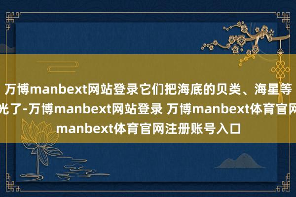 万博manbext网站登录它们把海底的贝类、海星等底栖生物都吃光了-万博manbext网站登录 万博manbext体育官网注册账号入口